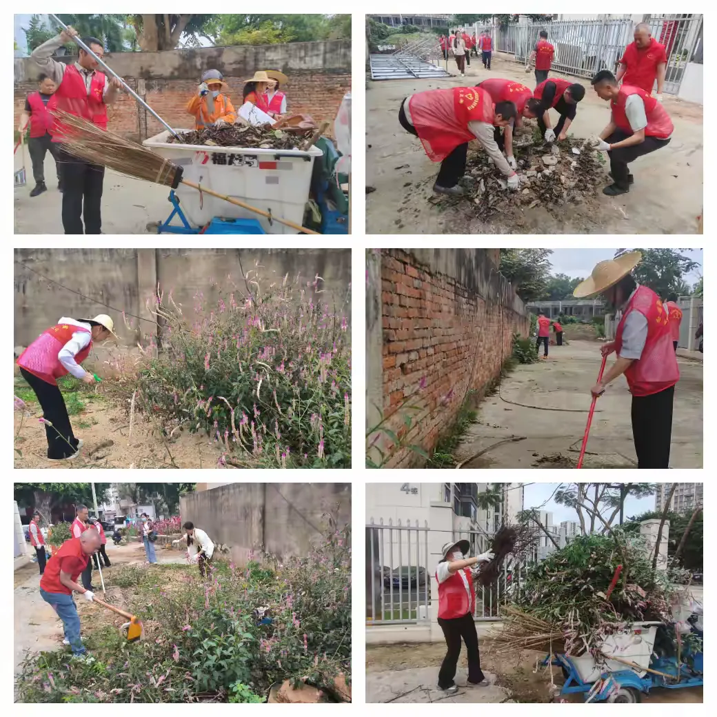 弘扬雷锋志愿风尚 筑牢绿色环保防线——球盟会qmh开展党建共建主题党日活动(图4)
