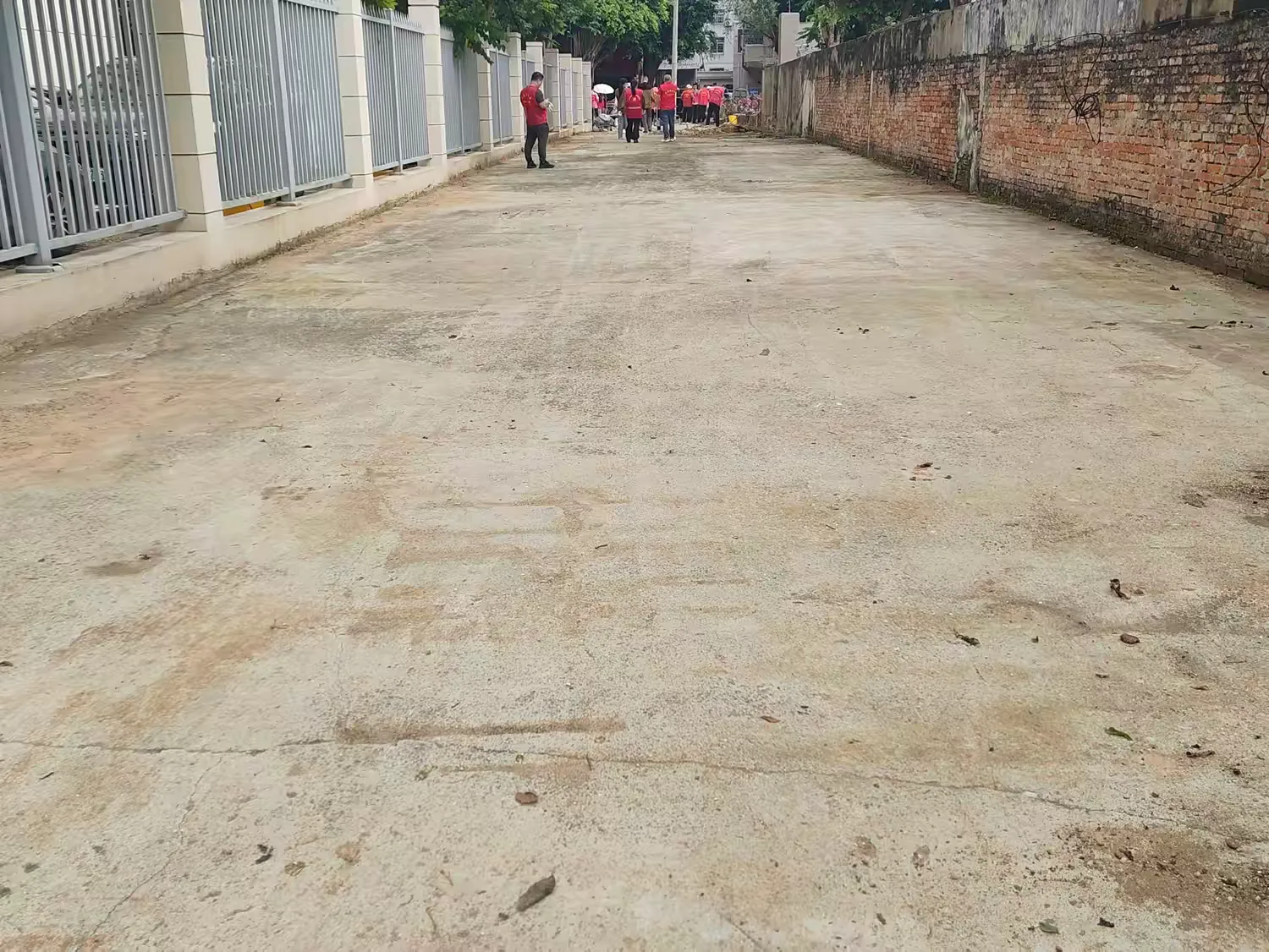 弘扬雷锋志愿风尚 筑牢绿色环保防线——球盟会qmh开展党建共建主题党日活动(图5)