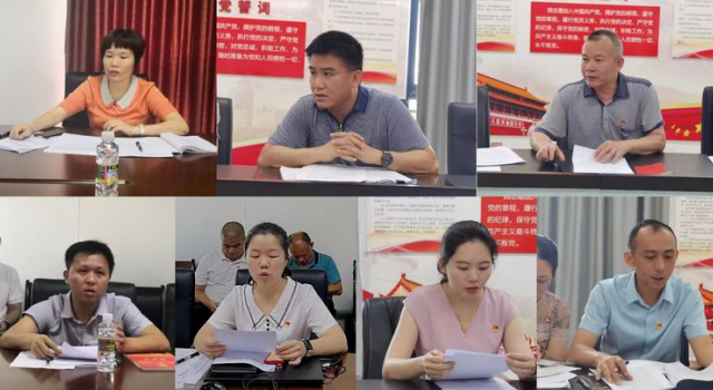 球盟会qmh召开支部党员大会学习习总书记在海南考察调研时的重要讲话精神暨开展党员“政治生日”主题党日活动(图4)